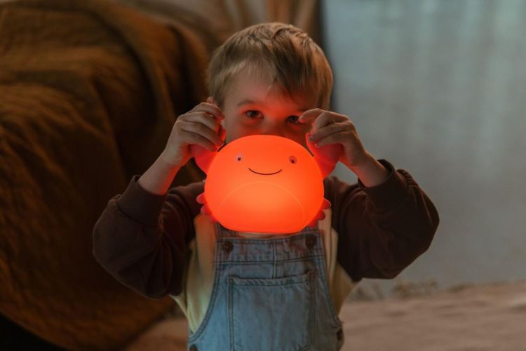 AP Junior Nachtlamp - Theo de krab (Oranje) - Panache (Koksijde)