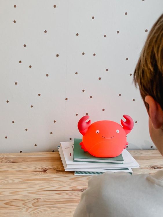 AP Junior Nachtlamp - Theo de krab (Oranje) - Panache (Koksijde)