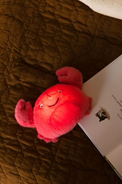 AP Junior Veilleuse peluche - Theo le Crabe (Oranje) - Panache (Koksijde)