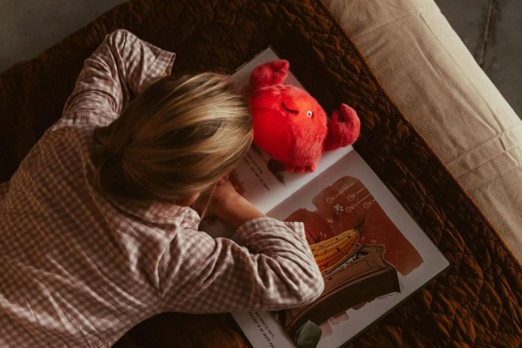 AP Junior Veilleuse peluche - Theo le Crabe (Oranje) - Panache (Koksijde)