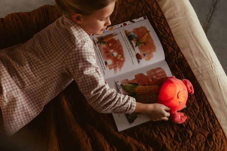 AP Junior Veilleuse peluche - Theo le Crabe (Oranje) - Panache (Koksijde)