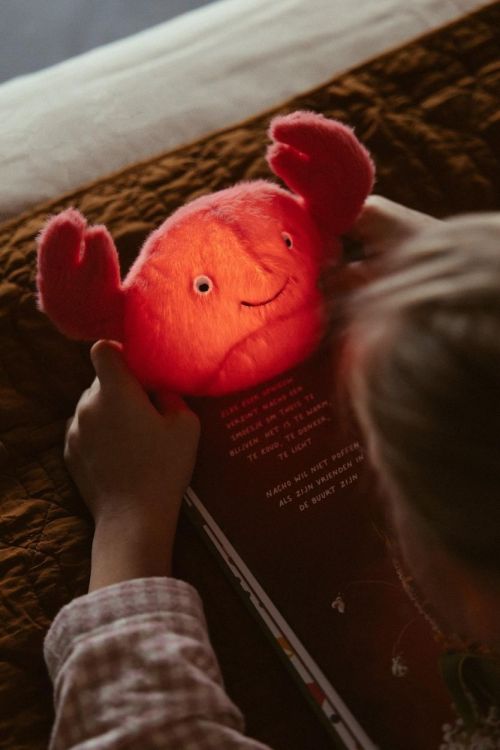 AP Junior Veilleuse peluche - Theo le Crabe (Oranje) - Panache (Koksijde)