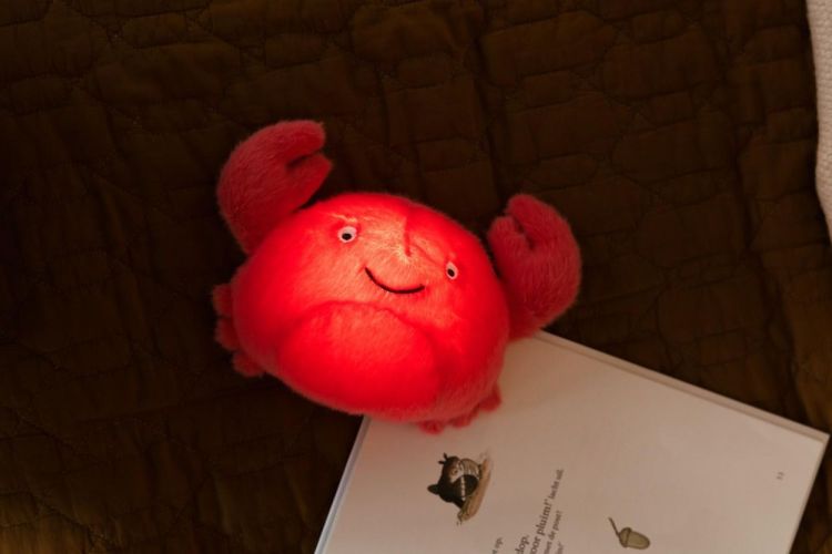 AP Junior Veilleuse peluche - Theo le Crabe (Oranje) - Panache (Koksijde)