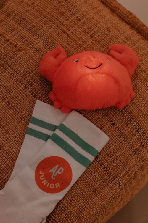 AP Junior Veilleuse peluche - Theo le Crabe (Oranje) - Panache (Koksijde)