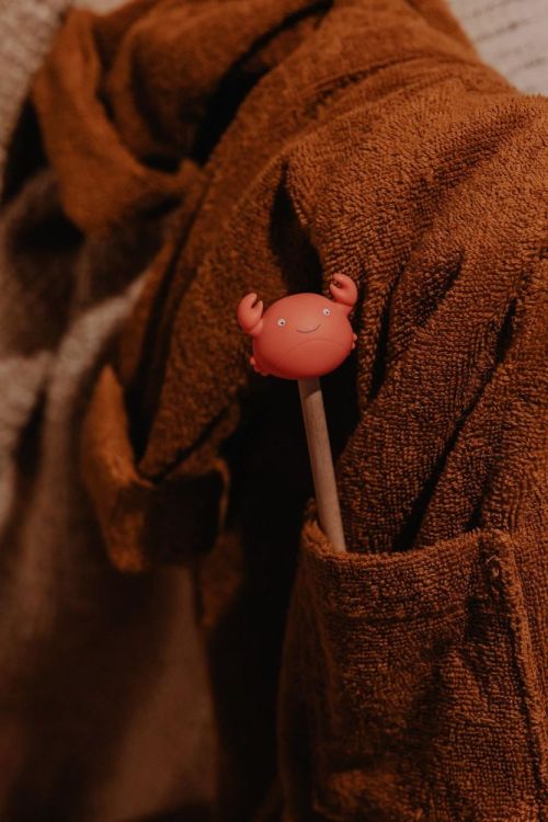 AP Junior Crayon - Theo le Crabe (Oranje) - Panache (Koksijde)