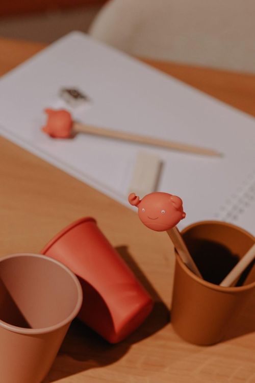 AP Junior Crayon - Theo le Crabe (Oranje) - Panache (Koksijde)