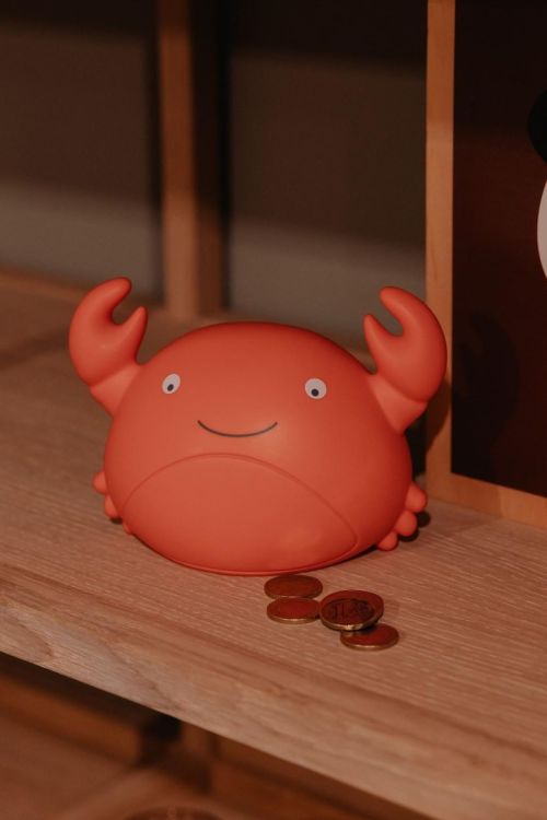 AP Junior Tirelire - Theo le Crabe (Oranje) - Panache (Koksijde)