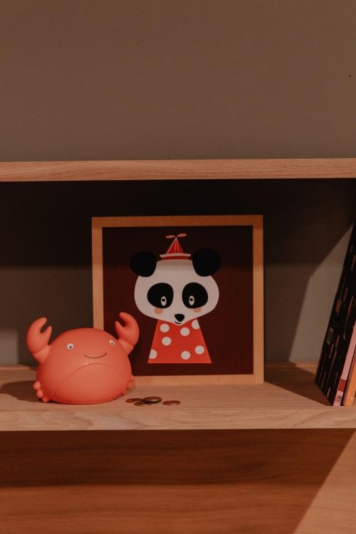 AP Junior Tirelire - Theo le Crabe (Oranje) - Panache (Koksijde)