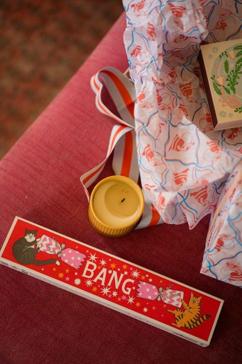 Archivist Gallery Matches Cracker Cats lange lucifers () - Panache (Koksijde)