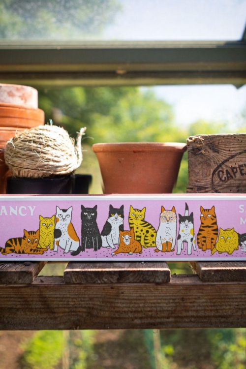 Archivist Gallery Matches Fancy Cat allumettes longues () - Panache (Koksijde)