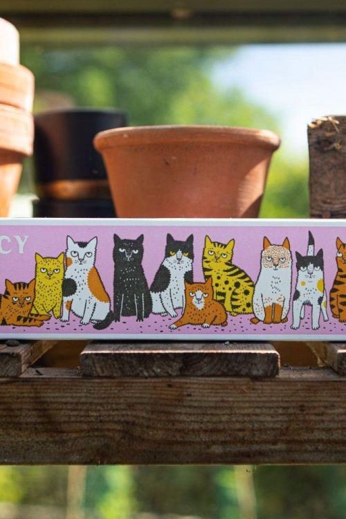 Archivist Gallery Matches Fancy Cat allumettes longues () - Panache (Koksijde)