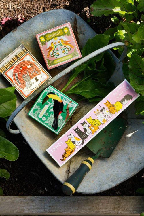 Archivist Gallery Matches Fancy Cat allumettes longues () - Panache (Koksijde)