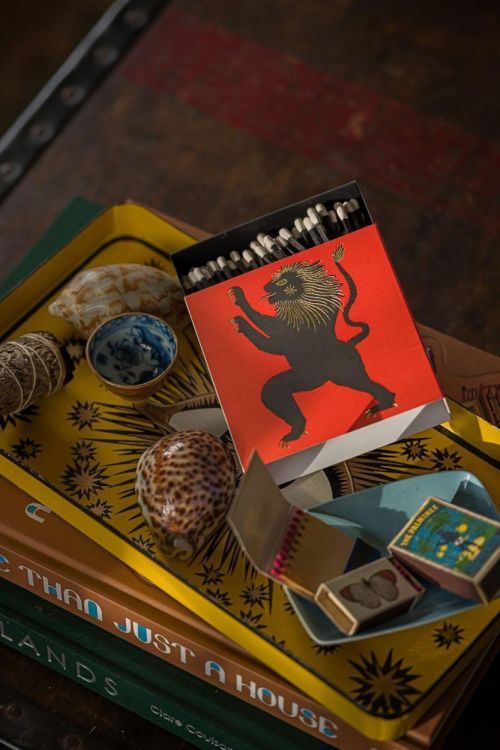 Archivist Gallery Matches Lion lucifers vierkant () - Panache (Koksijde)