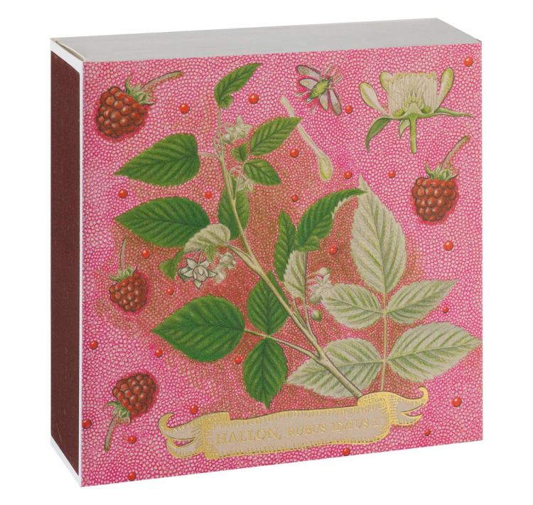 Archivist Gallery Matches Rose Framboise lucifers vierkant () - Panache (Koksijde)