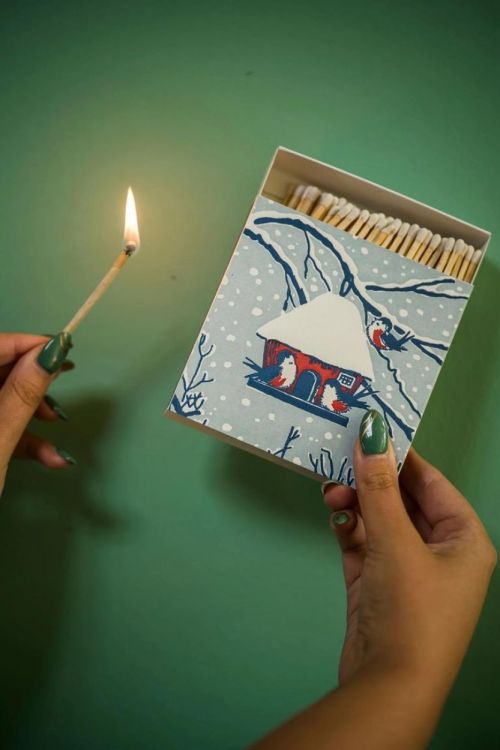 Archivist Gallery Matches Winter Bird lucifers vierkant () - Panache (Koksijde)