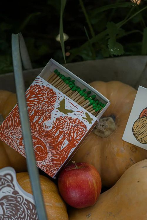 Archivist Gallery Matches Woodland Fox lucifers vierkant () - Panache (Koksijde)