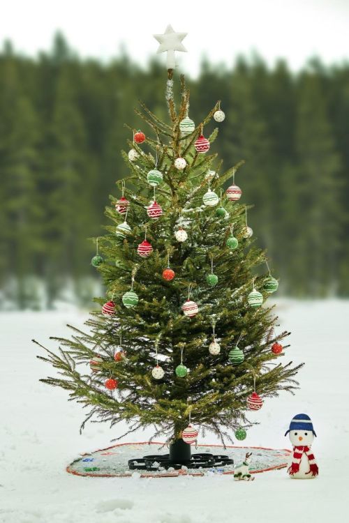 Aveva Design Hanging ornament Classic (Red) - Panache (Koksijde)