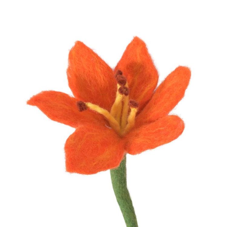 Aveva Design Lily coral (Coral) - Panache (Koksijde)