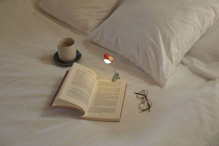 Balvi Lampe de lecture Oiseau (Rood) - Panache (Koksijde)