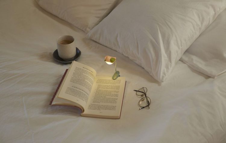 Balvi Lampe de lecture Oiseau (Roze) - Panache (Koksijde)