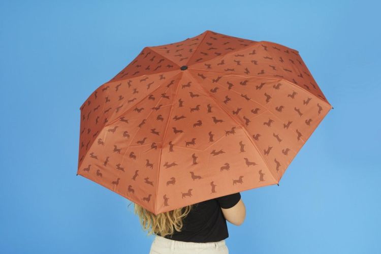 Balvi Parapluie Teckel (Bruin) - Panache (Koksijde)