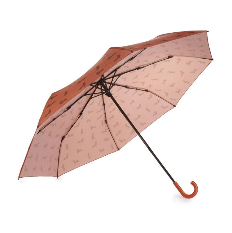 Balvi Parapluie Teckel (Bruin) - Panache (Koksijde)