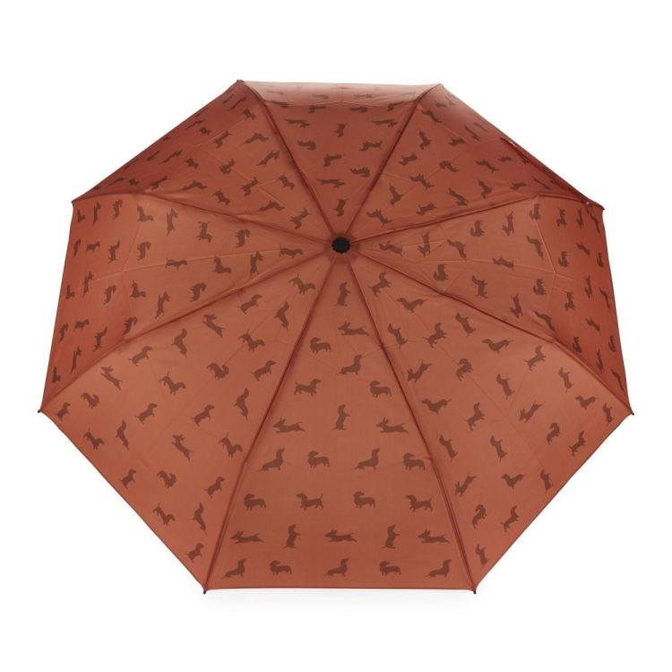 Balvi Parapluie Teckel (Bruin) - Panache (Koksijde)