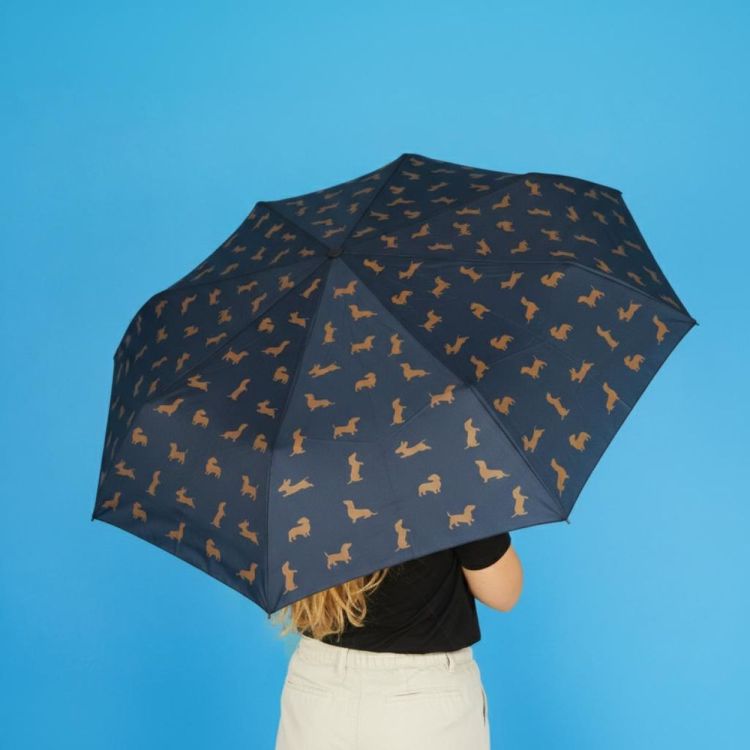 Balvi Parapluie Teckel (Zwart) - Panache (Koksijde)