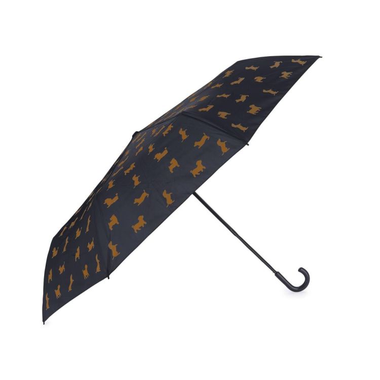 Balvi Parapluie Teckel (Zwart) - Panache (Koksijde)