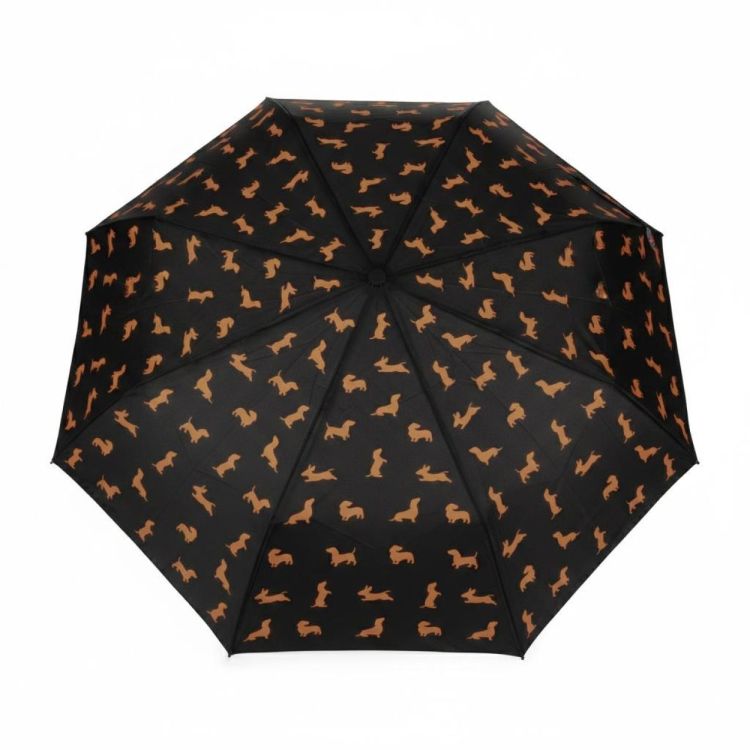 Balvi Parapluie Teckel (Zwart) - Panache (Koksijde)