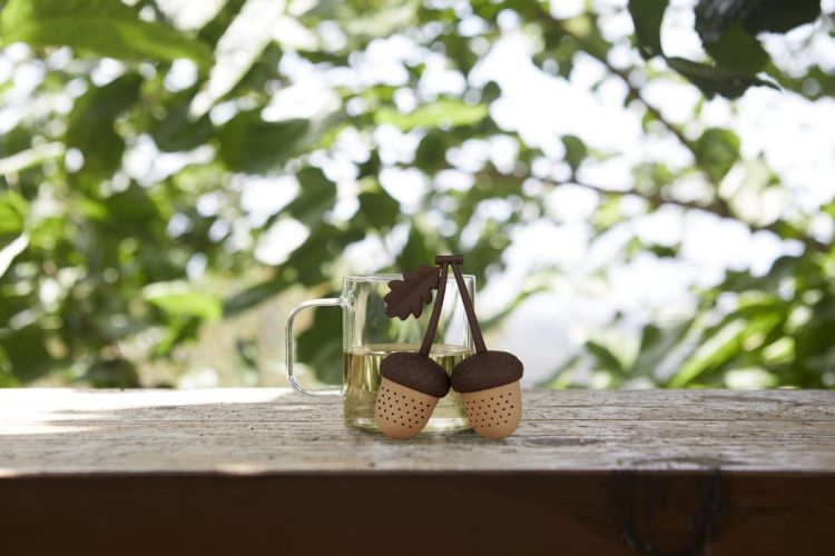 Balvi Thee-ei Eikels (Bruin) - Panache (Koksijde)