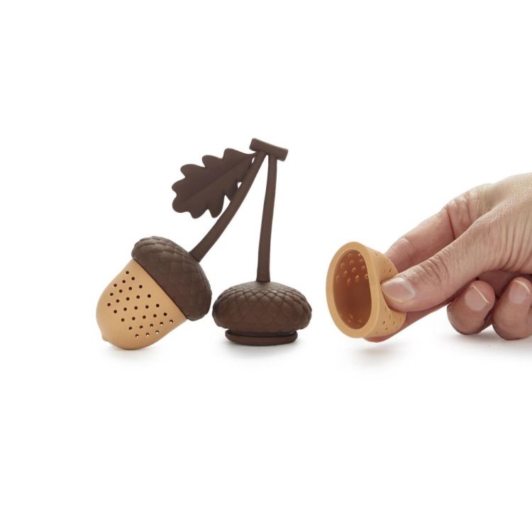 Balvi Thee-ei Eikels (Bruin) - Panache (Koksijde)