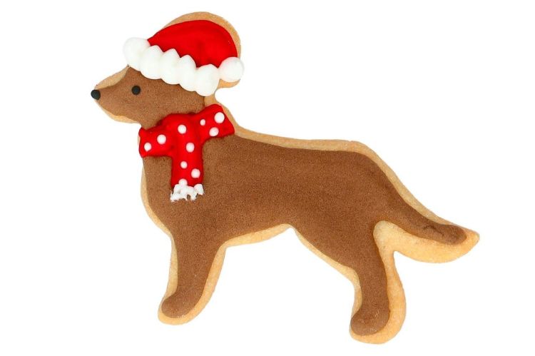 Birkmann Uitsteekvormpje kerst retriever (Inox) - Panache (Koksijde)