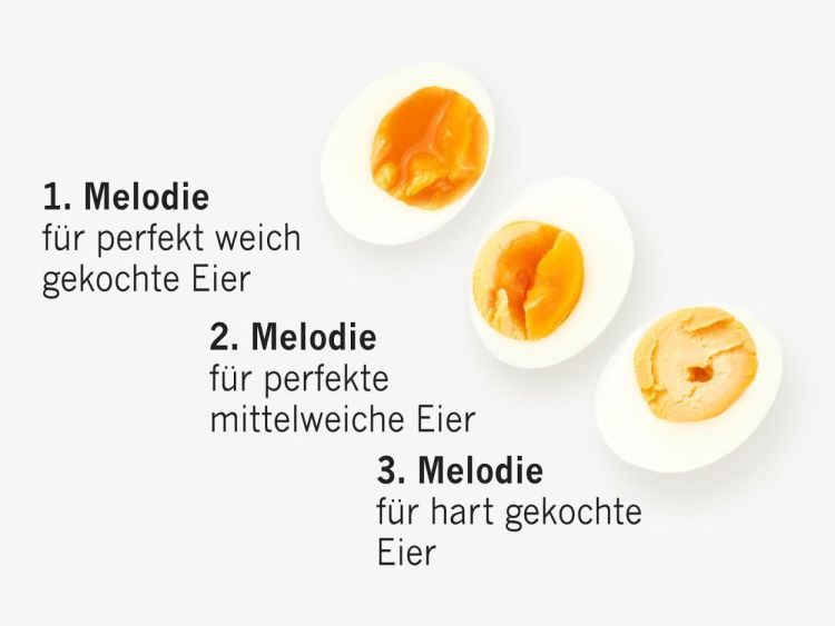 Brainstream BeepEgg Rooster (Multi) - Panache (Koksijde)