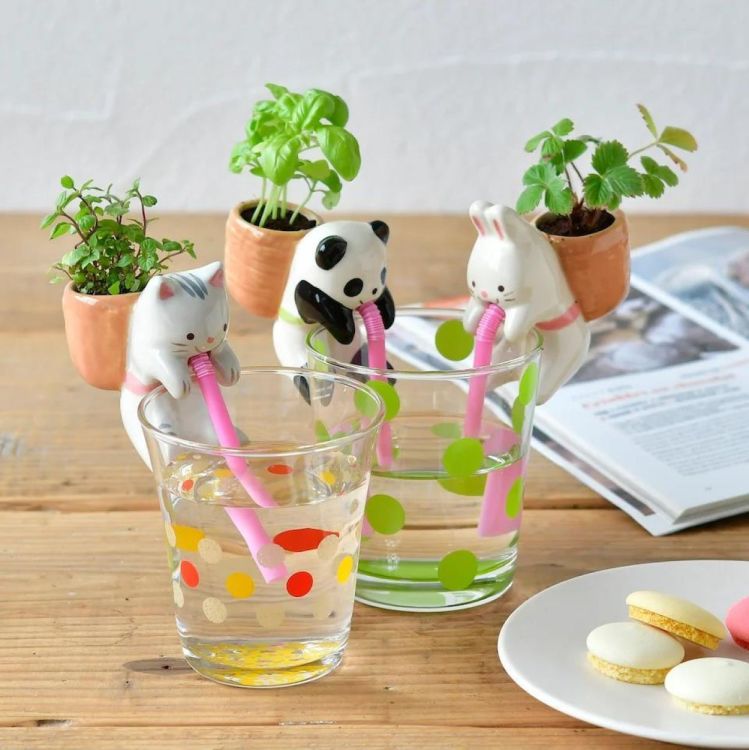 Brandless Chuppon Cat - Munt (Multi) - Panache (Koksijde)