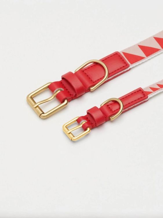 By Scout Nice Grill collier de chien M (Red) - Panache (Koksijde)