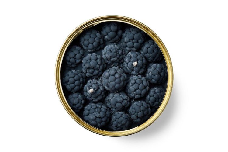 Candlecan Candlecan Cinnamon Blackberry (Multi) - Panache (Koksijde)