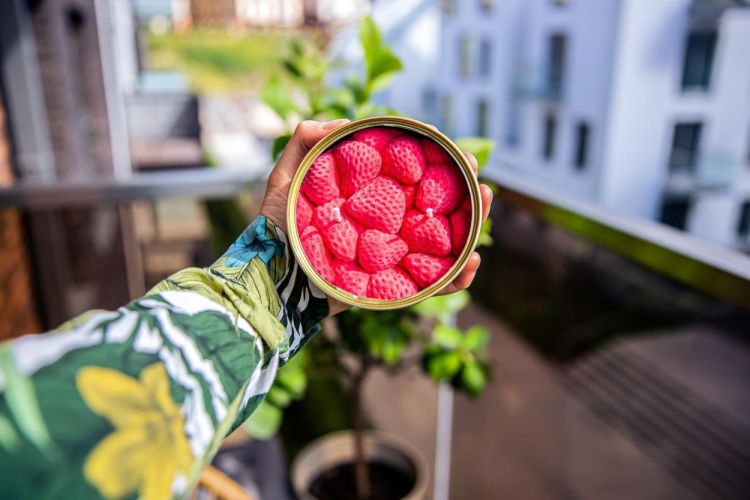 Candlecan Candlecan Ripe Strawberries (Multi) - Panache (Koksijde)