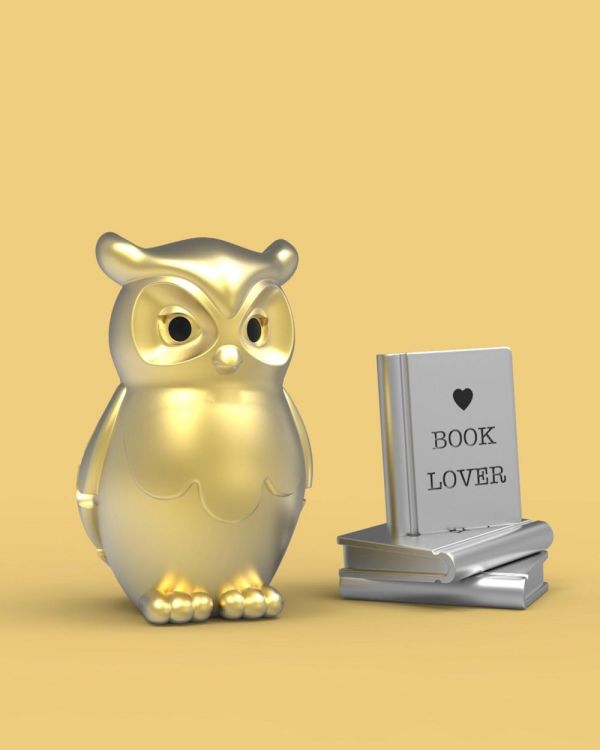 Chocli Keychain Owl with Book design (Pearl Gold) - Panache (Koksijde)