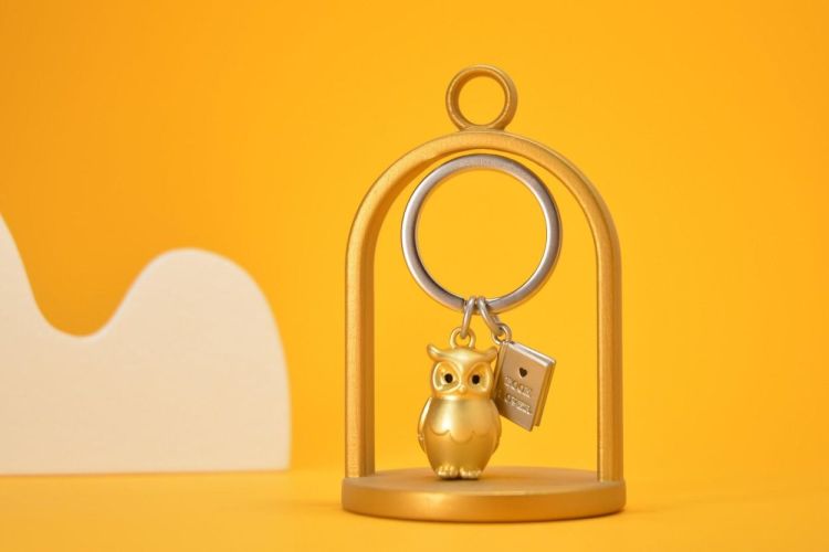 Chocli Keychain Owl with Book design (Pearl Gold) - Panache (Koksijde)
