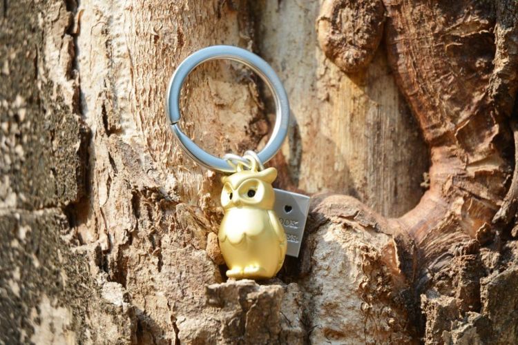 Chocli Keychain Owl with Book design (Pearl Gold) - Panache (Koksijde)