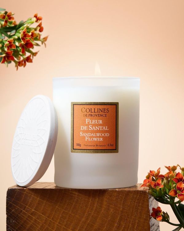 Collines de Provence Bougie Parfumée 180g Fleur de Santal (Fleur de Santal) - Panache (Koksijde)