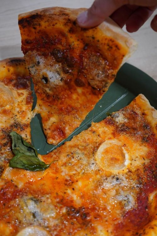 Cookut Le Formidable pizza bakplaat met mes Canopee (Canopee) - Panache (Koksijde)