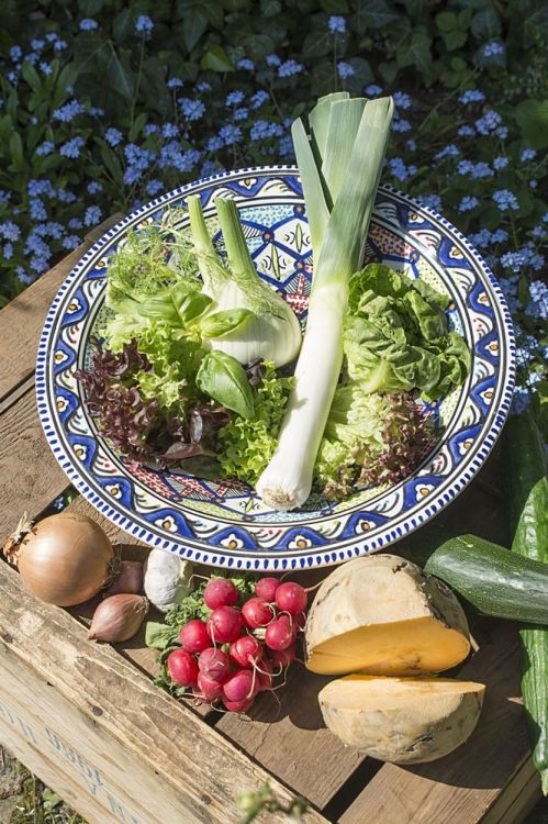 Dishes & Deco Plat de service 30cm Poisson (Blauw) - Panache (Koksijde)