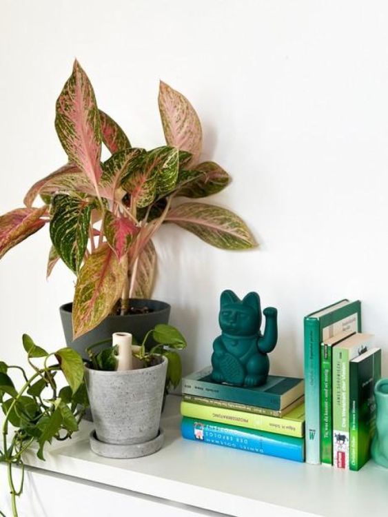 Donkey Lucky Cat 15cm (Green) - Panache (Koksijde)