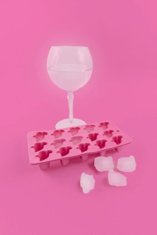 Dotz Moule à glaçons Flamant rose (Roze) - Panache (Koksijde)