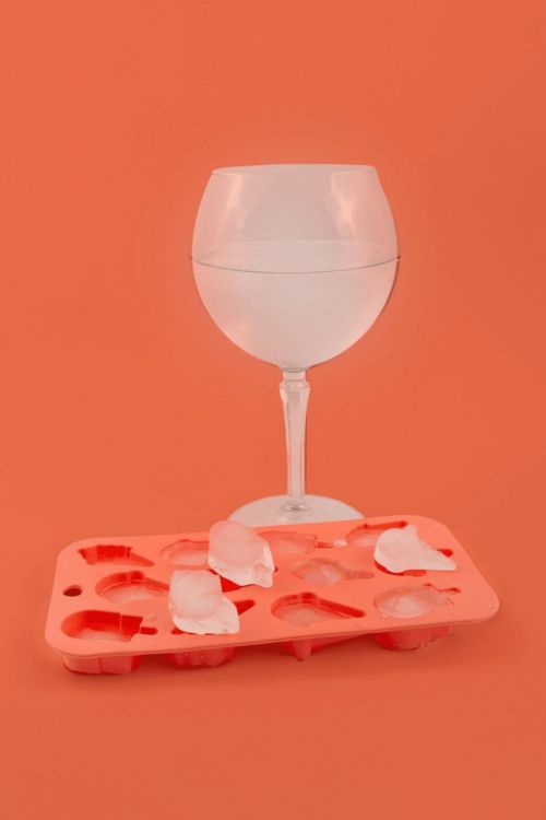 Dotz Moule à glaçons Glaces (Oranje) - Panache (Koksijde)