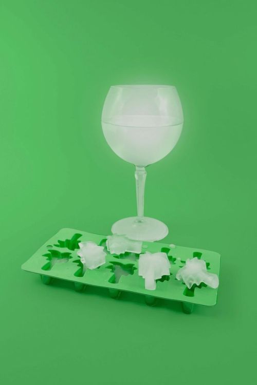 Dotz Moule à glaçons Palmier (Groen) - Panache (Koksijde)