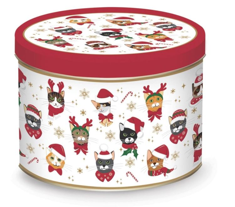 Easy Life Mug de Noël Chats 350ml avec boîte à biscuits (Multi) - Panache (Koksijde)