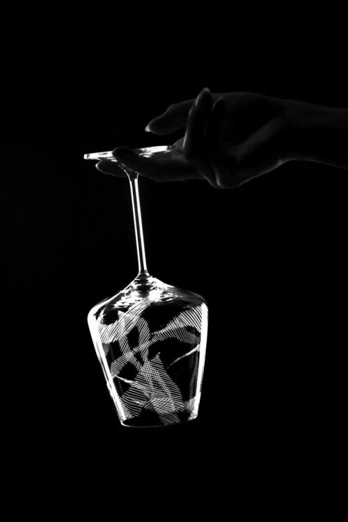 EVPAS glass Verre à Vin Rouge Echo 590ml (Transparant) - Panache (Koksijde)